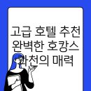 A3 | 과천시 과천동의 고품격 호텔과 호캉스 추천 가이드