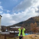 포독스2 이미지