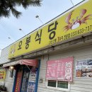 속초홍게칼국수 | 속초 오봉식당 방문 후기 (홍게백반, 홍게, 강원도 홍게) | 🍚
