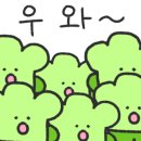 사랑의민박 이미지
