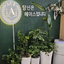 논현로 41 이미지