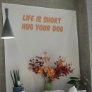 제2만덕지소(남) | 부산 만덕 애견인 집중!!! 애견동반,아이동반 가능한 카프리초 카페 내돈내산 후기