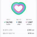 일러페스, 세레나데 유니버스 후기