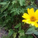 오남제일의원 이미지