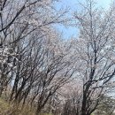 바우스쿨 이미지