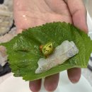 신선수산 | [보령] 대천항 맛집 모범수산 신선한 활어 고랑치회 솔직후기