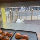 광일주유소 이미지