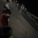 주야대게 이미지