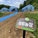 하나농장2 이미지
