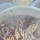 대림팥칼국수