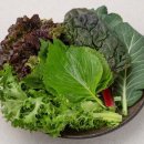 (주)드림유통 이미지