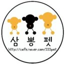 푸코펫 이미지