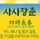 사자성어와 함께 한자 이미지