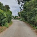 달팽이하우스 이미지