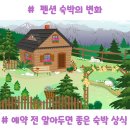 통보펜션 | 요즘 펜션, 입퇴실 시간 변화부터 온수 사용료까지, 미리 알아두면 좋은 새로운 숙박 상식