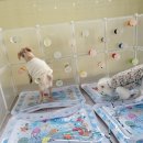 루이야 놀고 자고 GO 이미지