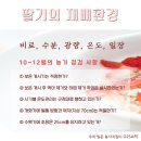 장일농장 이미지