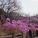 동산건재