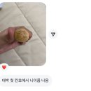 (주)디피에푸서비스코리아 | 가을이 빨리 지나가서 아10다...