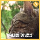 녹양돌봄동물병원 이미지