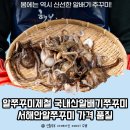 서해안마트 | 알쭈꾸미제철 국내산알배기쭈꾸미 서해안알쭈꾸미 가격 품질