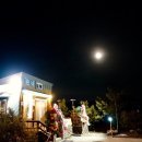 린네약국 이미지