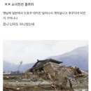 동일본 대지진을 견딘 일본의 소나무 이미지