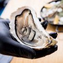 통영스토리 이미지