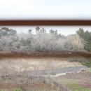 달숲하우스 이미지