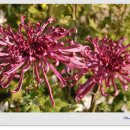 옥곡중학교 이미지