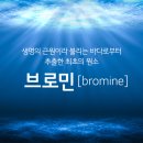 브로민 이미지