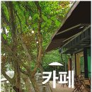 용인 빵 맛집 베이커리카페, 헤일로