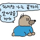 브라운브릭스 이미지