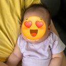 신동-114 이미지