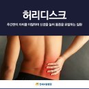 허리가 아파요?, 허리디스크 때문? 이미지