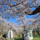 동해 구상수시설 이미지