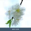 연천요양원 새비전 요양원 입소 전에 알아야 할 체크포인트