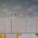 용인대 호랑이 태권도장 이미지