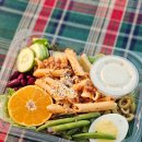 오렌지문 | 대전샐러드정기배송 세종 다이어트 도시락 새벽 문앞 배달 오렌지보울 솔직 후기