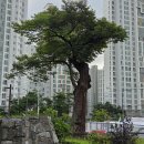 쌍용당구클럽 이미지