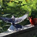 도곡낚시터 이미지