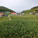 가의도펜션(민박) 이미지