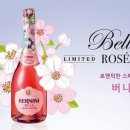 데일리샤 이미지