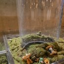 베얼스이얼스(Bear's ears) | 감각적인 카페 부산 남포동 디저트 카페 베얼스이얼스