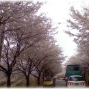 백운천민박 이미지