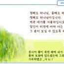 일일예화말씀묵상 2024년 8월 22일 (목) - 인생의 계획 이미지