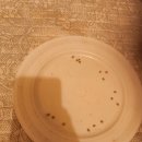 천년거북 희상 | 2024.11.03.일요일.오른쪽 발목.3군데.직접구.총15알.쑥뜸.아시혈자리.