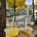 데일리브라운 이미지