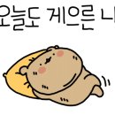 레인보우오피스 이미지