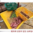 소풍농장 이미지